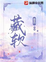 藏软