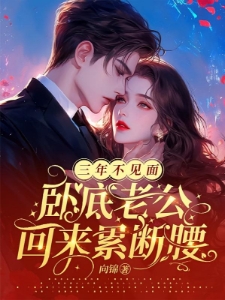 闪婚老公是卧底，消失三年回来了
