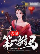 大夏第一驸马林皓李清月