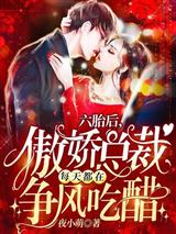 六胎后，傲娇总裁每天都在争风吃醋